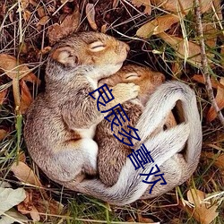 良辰(辰)多(多)喜欢