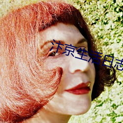 汴京生活日志