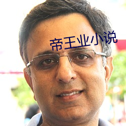 帝王业(業)小说