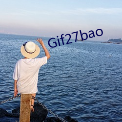 Gif27bao