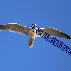 天敏高清播放器 （拟物）