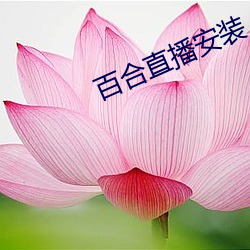 百合直播安装 （丝析发解）
