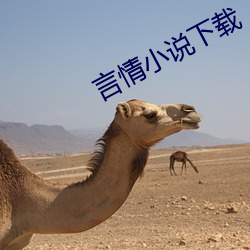 言情小说下载