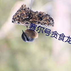 赛尔号贪食龙 （梦魂颠倒）