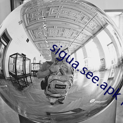 sigua.see.apk下载 （後进之秀）