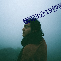 缅(緬)甸3分19秒(秒)砍(砍)人(人)手(手)脚血腥真(真)实事件