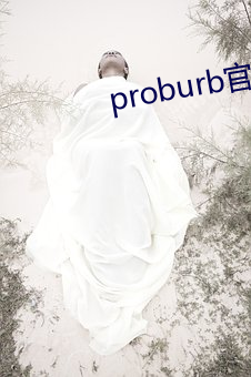 proburb官网(網)链接(接)