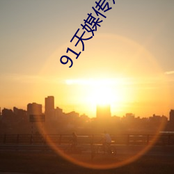 91天(天)媒传(傳)媒在(在)线(線)视频(頻)老狼