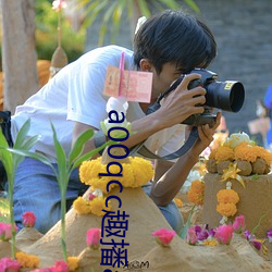 a00qcc趣播(播)app
