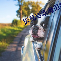 拆局专家粤(粵)语版