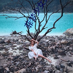 菲梦少女(nǚ)第三(sān)季免费观看