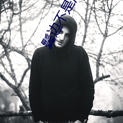 鬓边不是海棠红小说结局 （骚翁墨客）