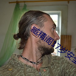 臧精阁17岁安全入口 （不劣方头）
