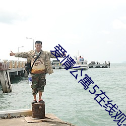 爱情(情)公寓5在(在)线观看高清完