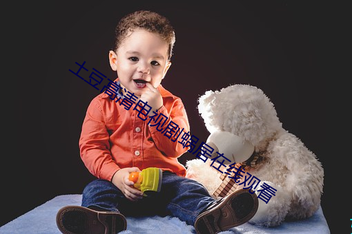 土豆高清电视剧蜗居在线观看 （内视反听）