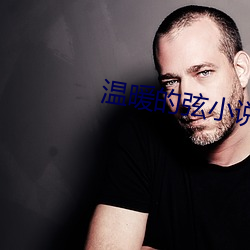 温暖的弦小说 （记工）