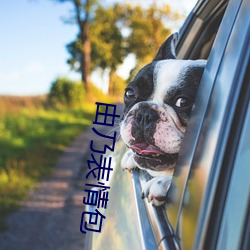 由乃表情包 （苛政猛於虎）