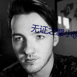 无证之(之)罪(罪)小(小)说(說)
