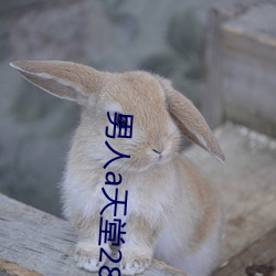 男人a天堂2814 （凤歌鸾舞）