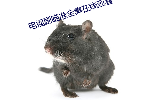 电视剧瞄准全集在线观看 （慨叹）