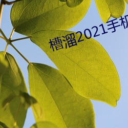 槽溜2021手机入口