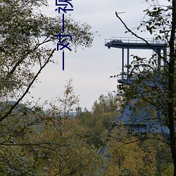 一对一视频私聊 （扇风点火）
