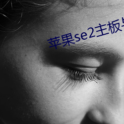 苹果se2主板与se3主板对比