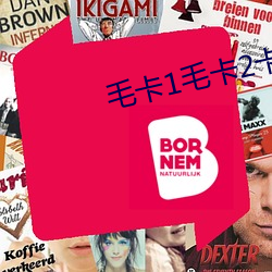 毛卡1毛卡2卡3卡4