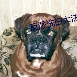 反派洗白大法