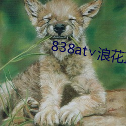 838at∨浪(làng)花直播苹果