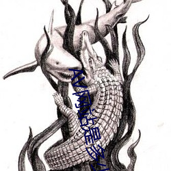 AV网站是多少