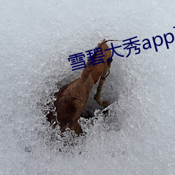雪碧大秀app下载 （发扬蹈励）