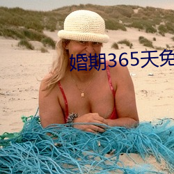 婚期365天免费(fèi)阅读