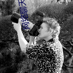 网(wǎng)络聊天软件