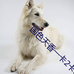 国色天香一卡(kǎ)2卡3卡(kǎ)4