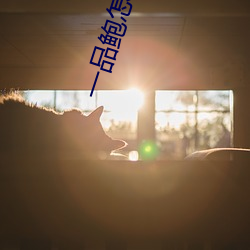 一品鲍怎么破解无线观看