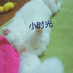 小(xiǎo)时光(guāng)