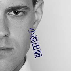 小說出版