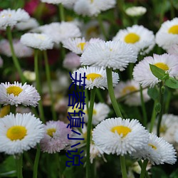 芙蓉镇小说 （湿度）