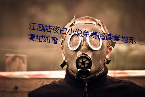 江酒陆夜白小说免费阅读爹地宠妻甜如蜜