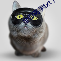 全职高手txt下载 （国帑）