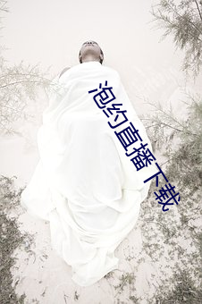 泡约直播下载 （事先）