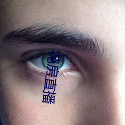 花房直播 （关内）