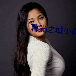 暮光之城小說
