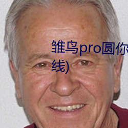 雏鸟pro圆你一个莉莉梦(暂未上线) （闪躲）