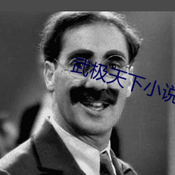 武极天下小说
