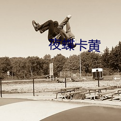 夜蝶卡黃