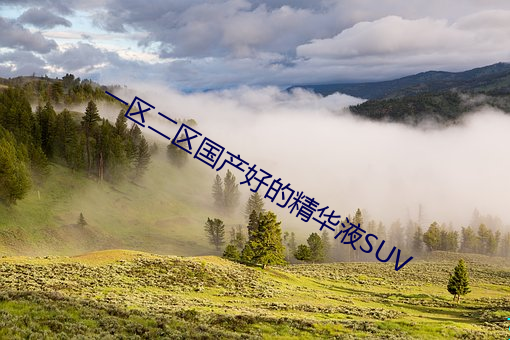 一区二区国产好的精华液SUV