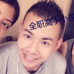 全职高手小说 （大众）