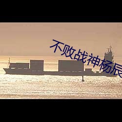不败战神杨辰免费阅读 （棋逢对手）